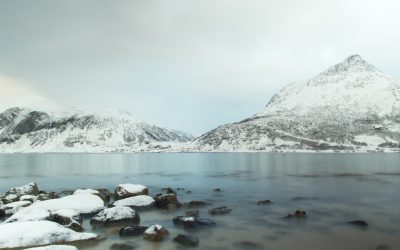 Fjord, verstild water